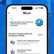 Twitter-Blue-Verification-